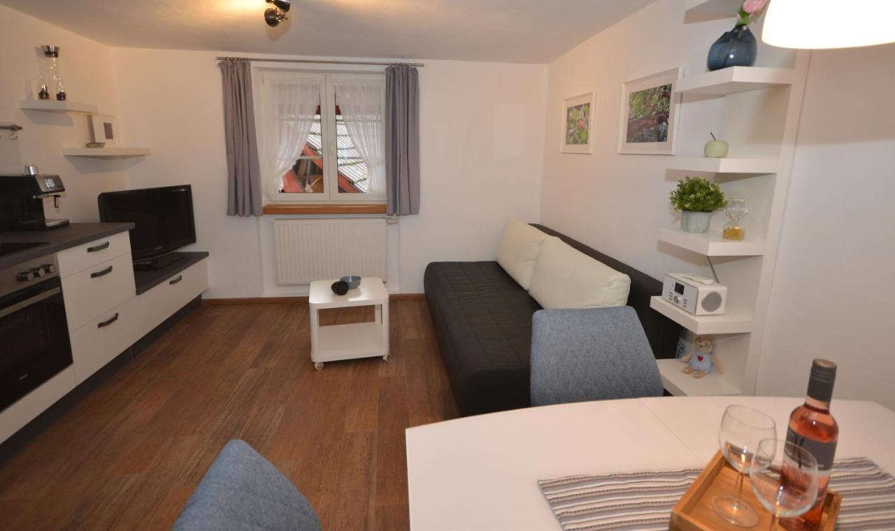 Ferienwohnung Traumschiff Erzingen Eksteriør billede